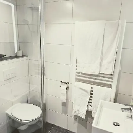 Rotes Ross 3* إرلانجن